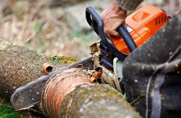 Tree Pruning